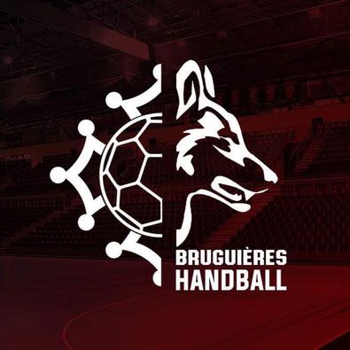 Logo Bruguières Occitan Club 31 handball